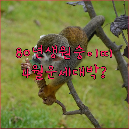 2026년 4월 1980년생 원숭이띠 운세 | 직장운 재물운 건강 관리 전략