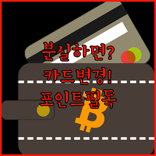 교육급여 바우처 분실 시 카드 변경 및 포인트 관리 방법