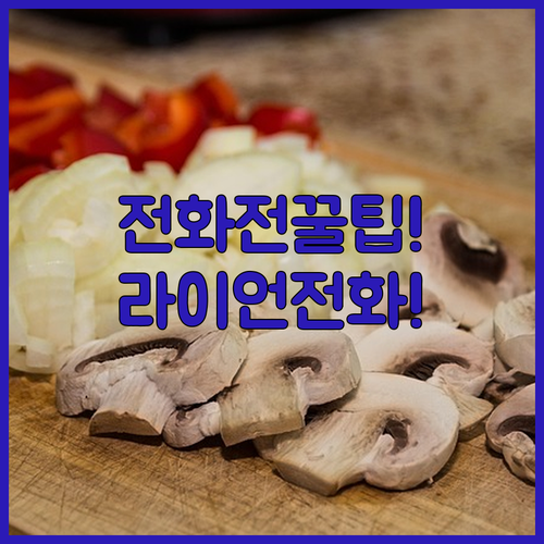 타이라이언에어 고객센터 전화 전 미리 준비할 정보