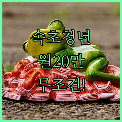 속초시 청년 월세 지원금 월 20만 원 받는 법과 자격 요건