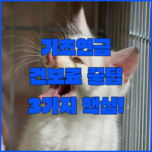 기초연금과 건강보험료 모든 궁금증 정리