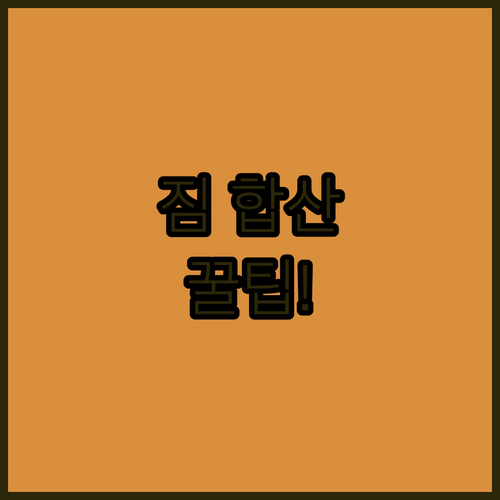 세부퍼시픽 수하물 합산 규정 동승자와 함께 짐 부치기