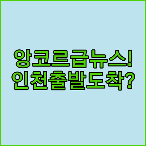 스카이 앙코르 항공 인천공항 제1터미널 도착 및 출발 정보