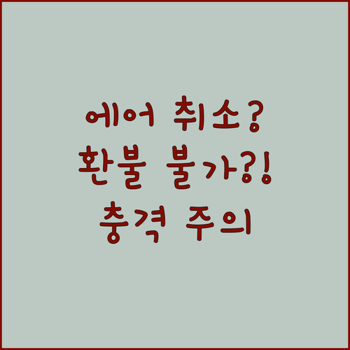 에어 아스타나 취소 수수료, 프로모션 운임은 환불 불가