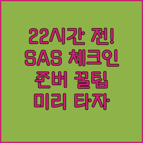 SAS 온라인 체크인 출발 22시간 전부터 가능