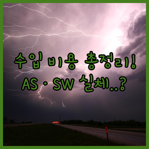 지커 9X 개인 수입 비용 총정리 | AS 리스크와 소프트웨어 한계