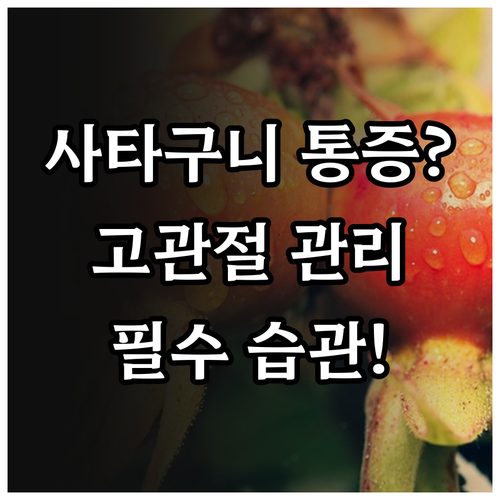 사타구니 안쪽 통증 원인과 고관절 질환 예방을 위한 습관