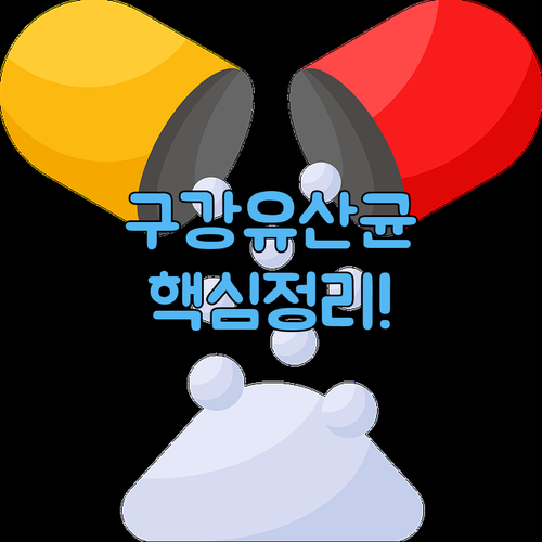 구강유산균 개별인정형 원료 효능과 섭취법