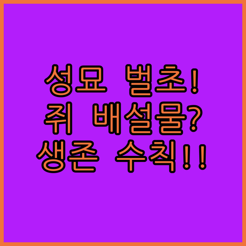 image bd432b4b