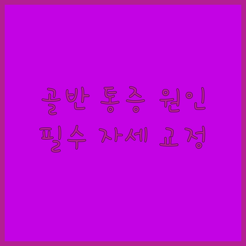 골반 고관절 통증 원인과 일상 속 바른 자세 실천하기